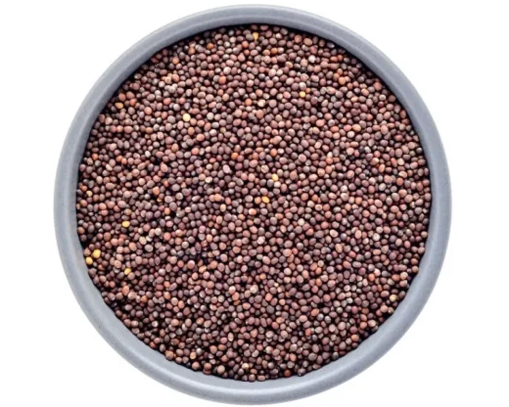 Condimentos e Temperos