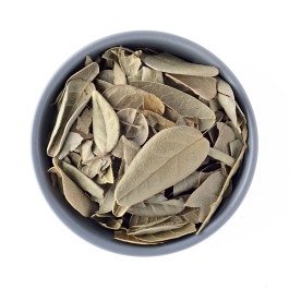 Chá de Boldo do Chile 100g