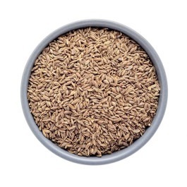 Semente de Endro 100g
