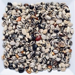 Fava Rajada 100g