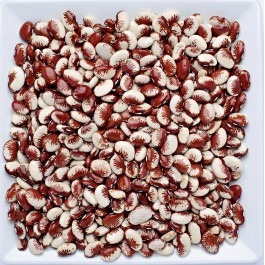 Fava Rajada Vermelha 100g