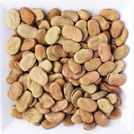 Fava Libanesa 100g