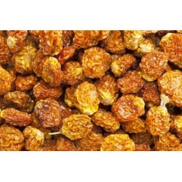 Golden Berry Desidratada 100g