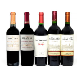 Kit com 5 Vinhos Mais Vendidos + GANHE 1 + Abridor Personalizado