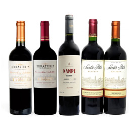 Kit com 5 Vinhos Mais Vendidos + GANHE 1 + Abridor Personalizado