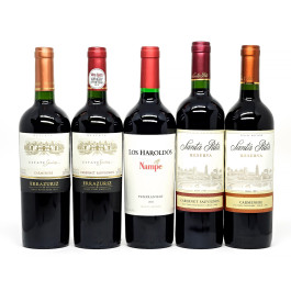 Kit com 5 Vinhos Mais Vendidos + GANHE 1 + Abridor Personalizado