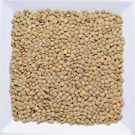 Lentilha Canadense 100g