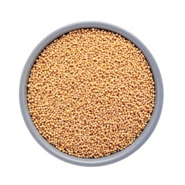 Mostarda em Grão Amarela 100g