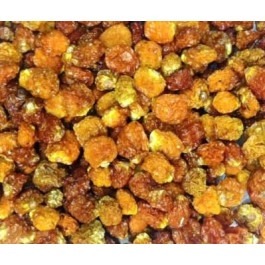 Physalis Desidratado 100g