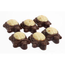 Tartaruga De Chocolate Mista Genebra 100g