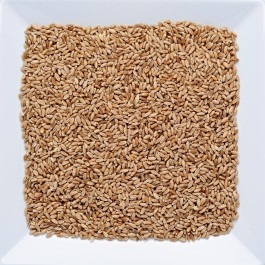 Trigo em Grão Nacional 500g