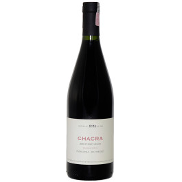 Vinho Chacra Pinot Noir Treinta Y Dos (750ml)
